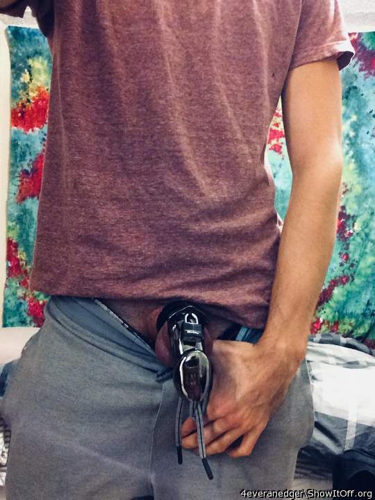 Off to school with a locked cock