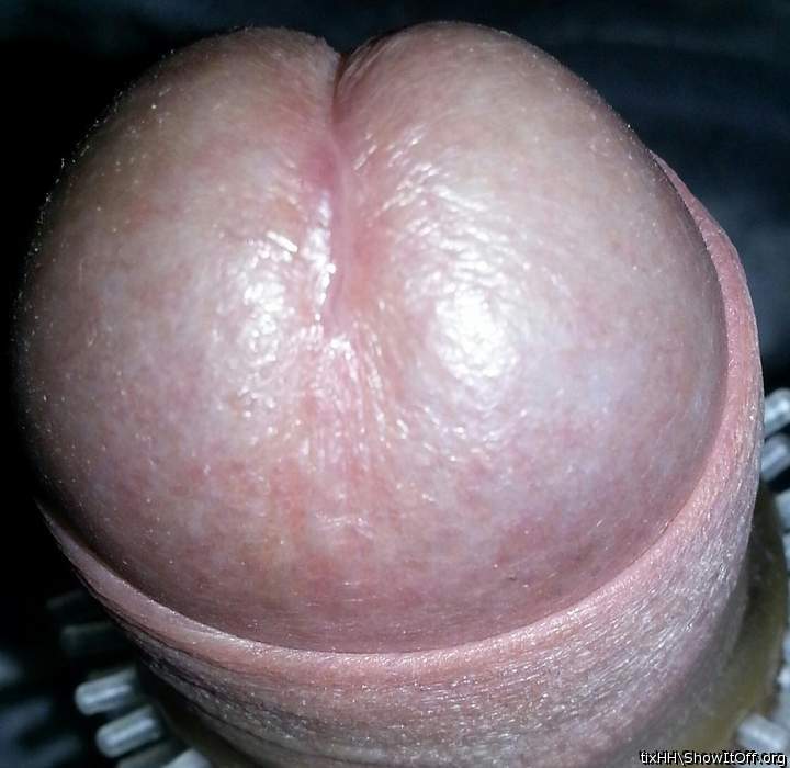 Beautiful cockhead & foreskin!