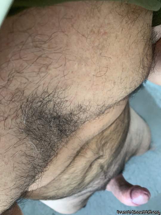 Photo of a bat from Franc0