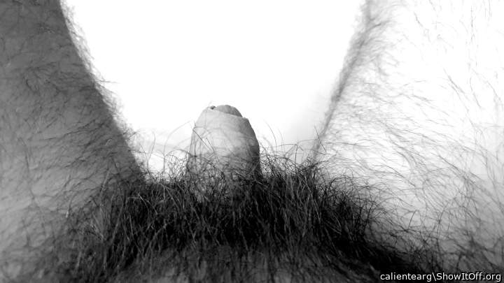   beautuful bush!!  
