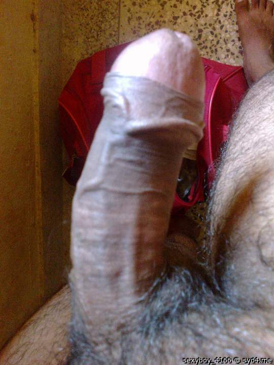 Photo of a rooster from sexyboy_4166