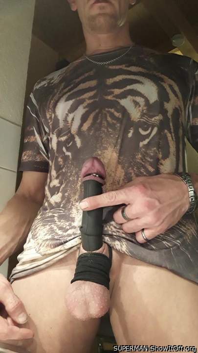 Bondaged pierced hard dick !