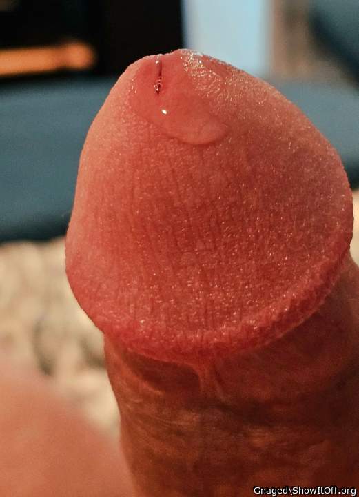 Photo of a stiffie from Gnaged