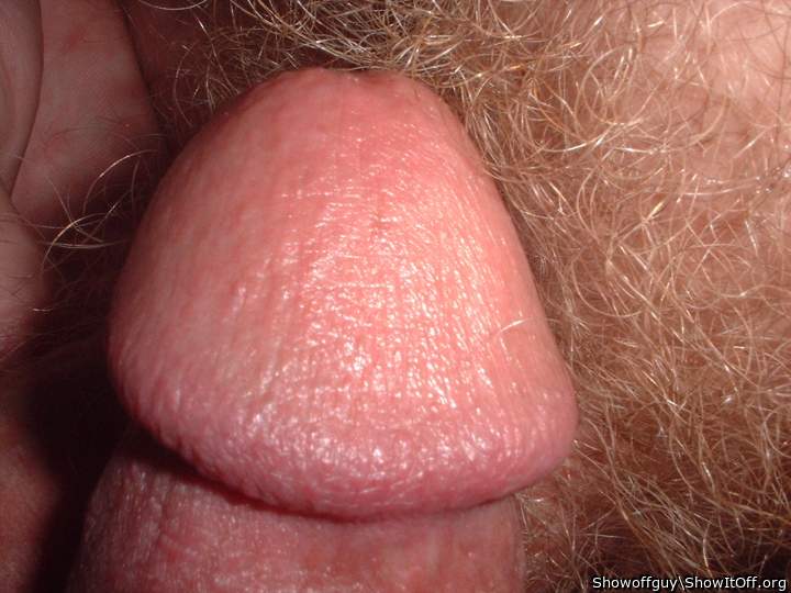 Beautiful cock head 