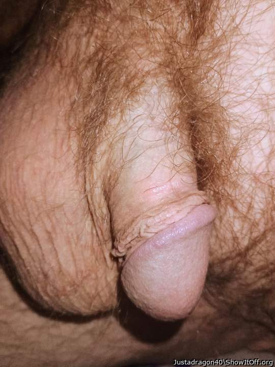 Photo of a bat from Justadragon40