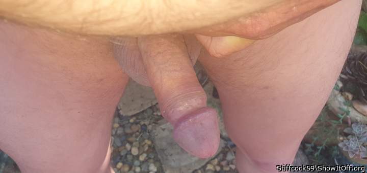 Photo of a member from Stiffcock59