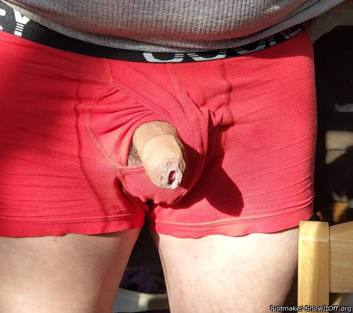 Photo of a bat from SPUNnONONE