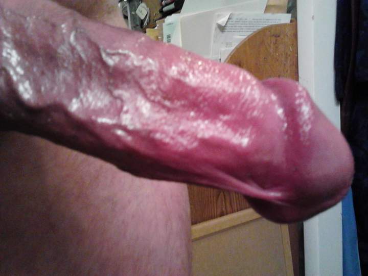 Photo of a stiffie from fish4free