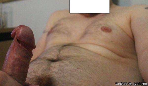 Photo of a cavalier from Cock84