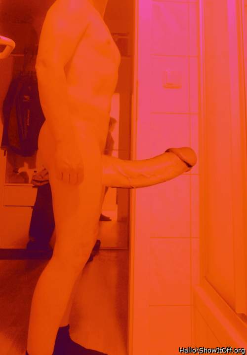 Photo of a snake from Hallo