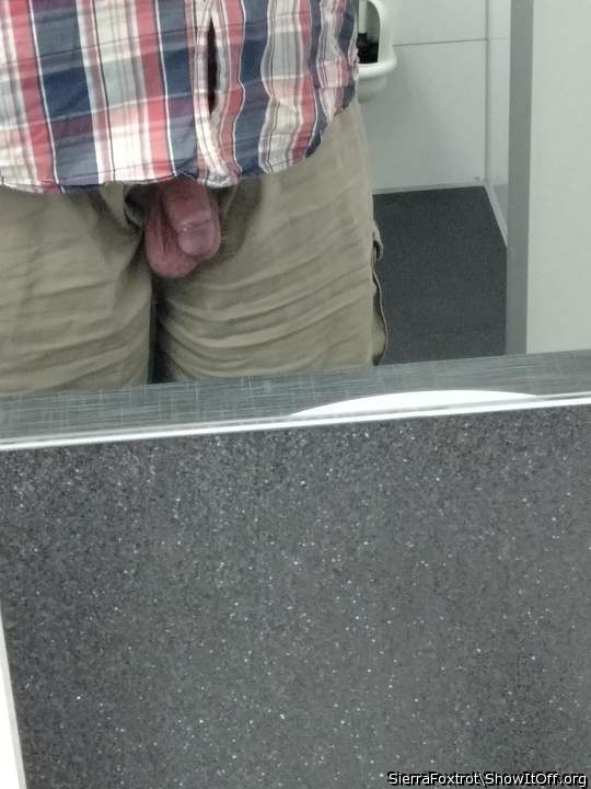 Photo of a cock from SierraFoxtrot