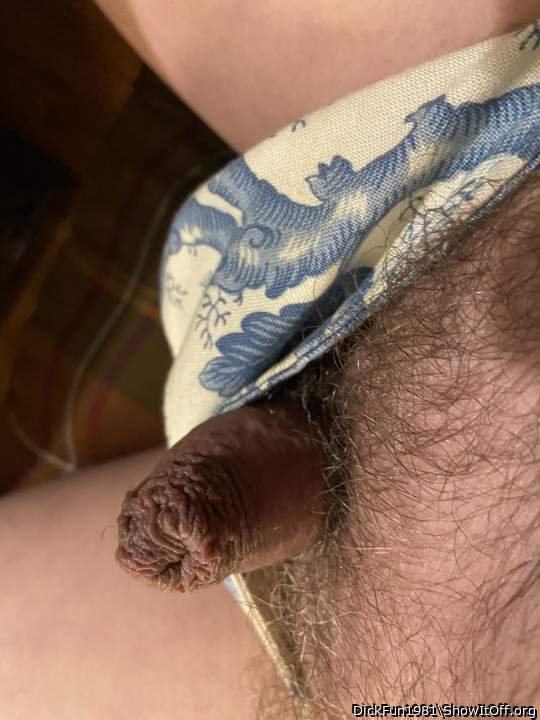 My little cocktail weenie