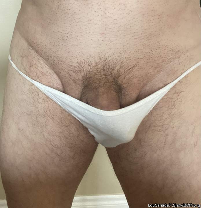 Photo of a weasel from LouCanada7