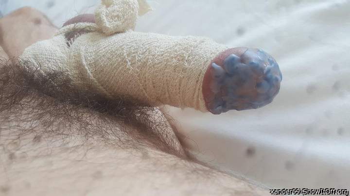 Photo of a hot dog from xander69
