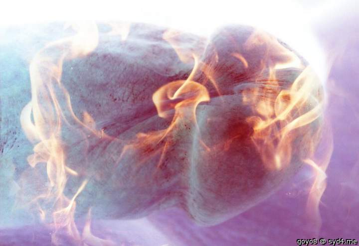 Photo of a love muscle from goyo8