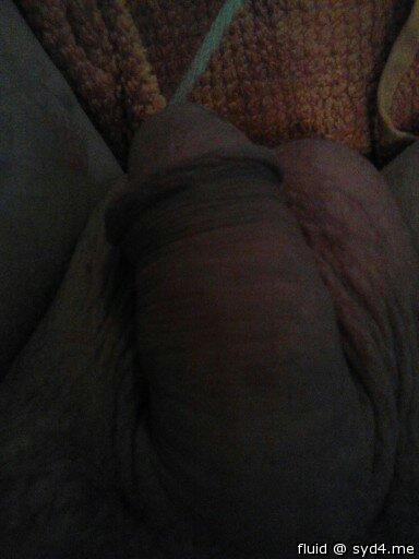 my cock