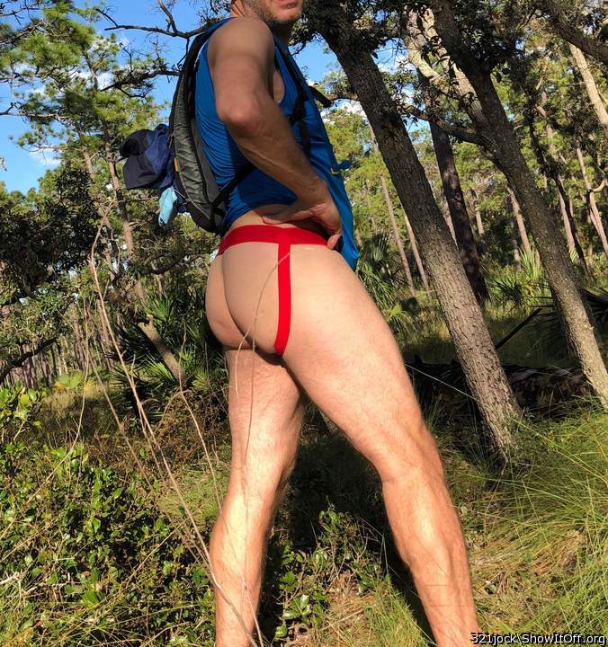 Photo of a lizard from 321jock