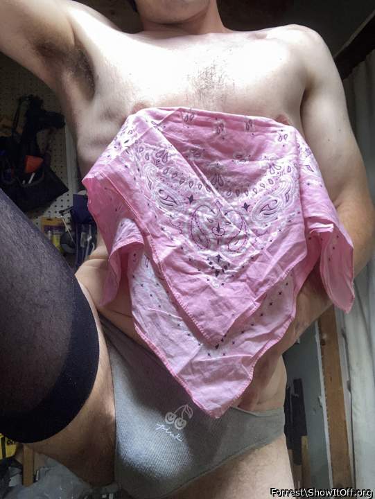 Photo of a snake from Forrest