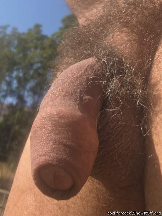 Foreskin