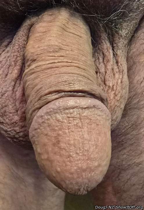 Photo of a stiffie from DougJ-NZ