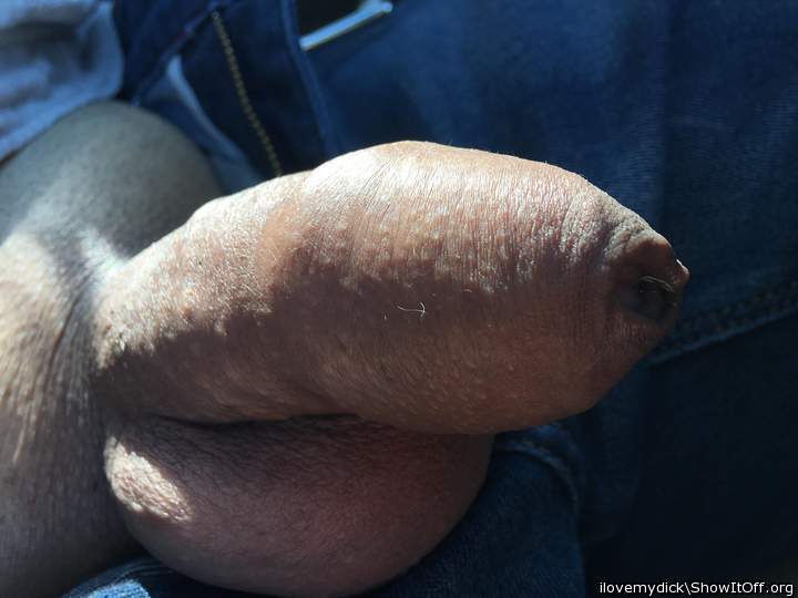 Photo of a bat from ilovemydick