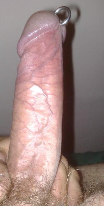 Photo of a boner from albert