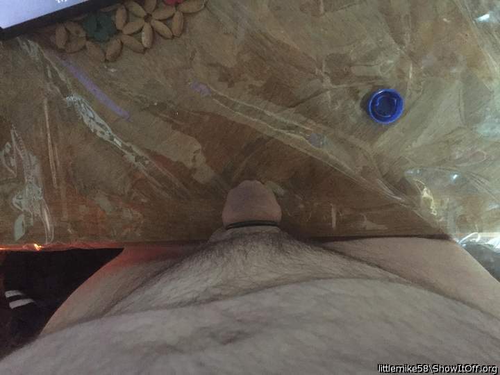 Photo of a cock from littlemike58