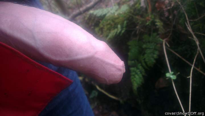 Photo of a shaft from covas