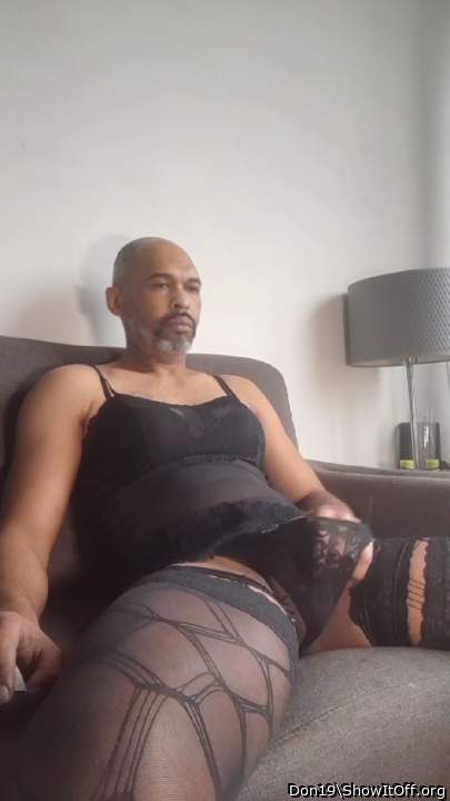 Photo of a lizard from Don19