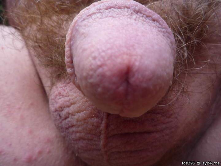 Wish I could just pop you in my mouth 
