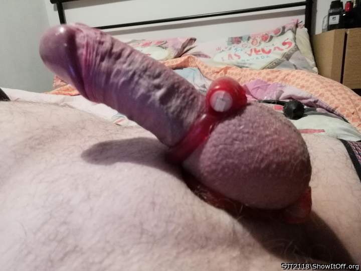 Photo of a pecker from SJT2118