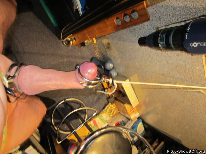 Photo of a short leg from Pit66