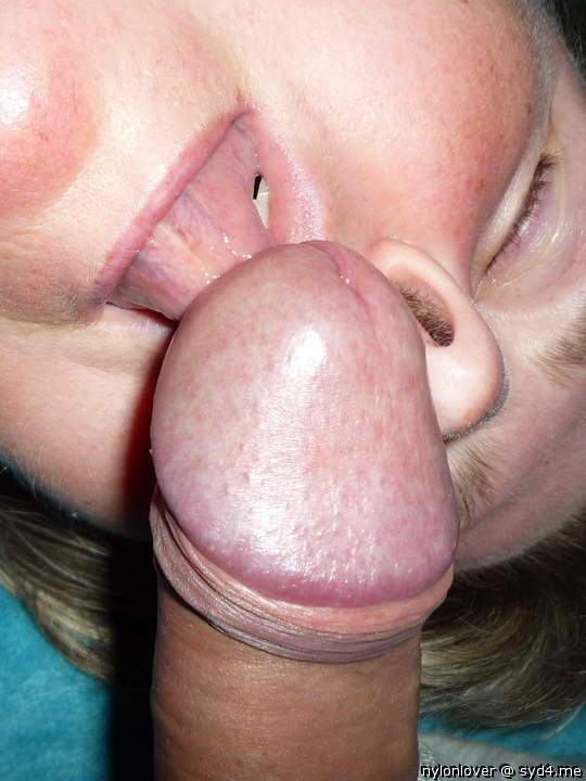 Adult image from nylonlover