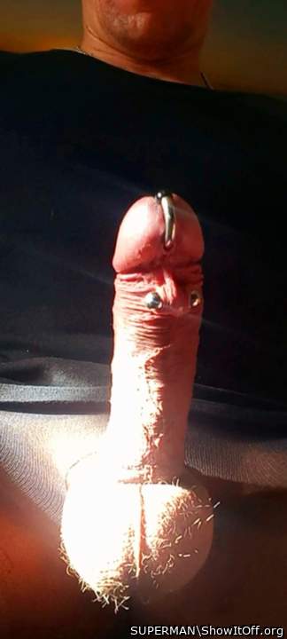 My Horny  Cock &#128521;