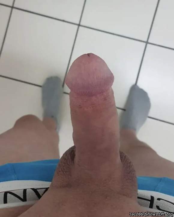 Photo of a weasel from Jaco86