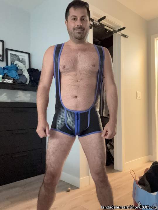 Photo of a weasel from landsdaleman