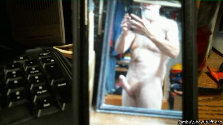 Photo of a cavalier from jumbu