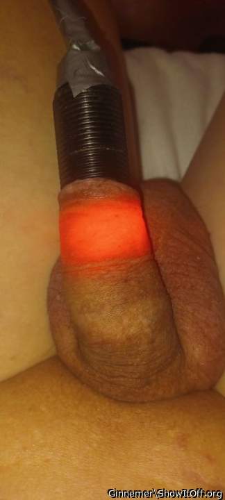 Photo of a penile from Ginnemer