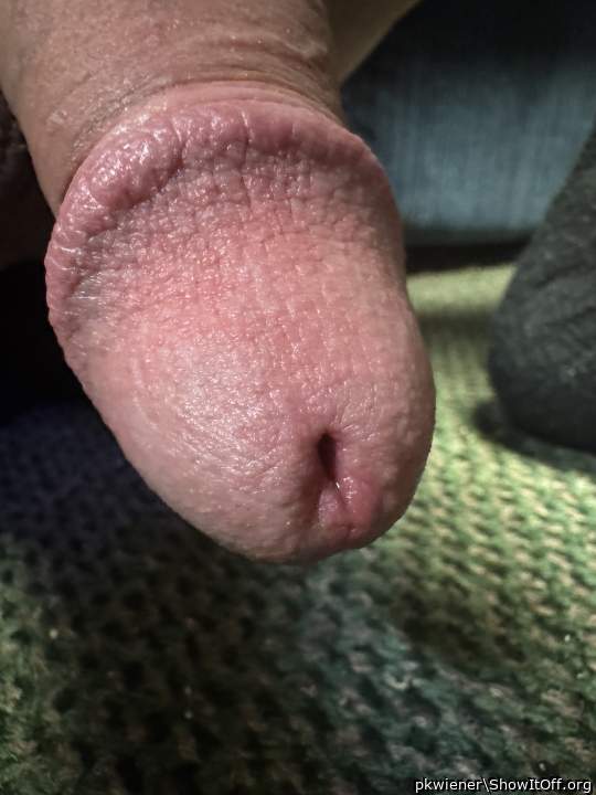 Photo of a snake from pkwiener