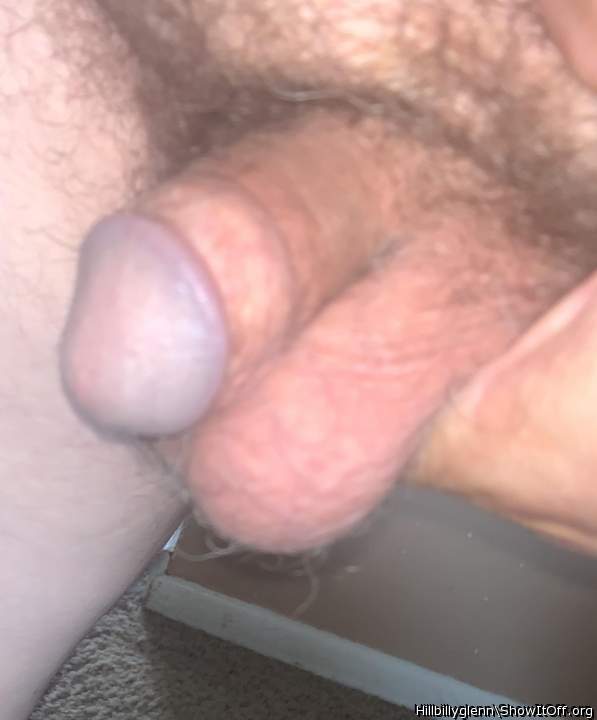 Photo of a cock from Hillbillyglenn