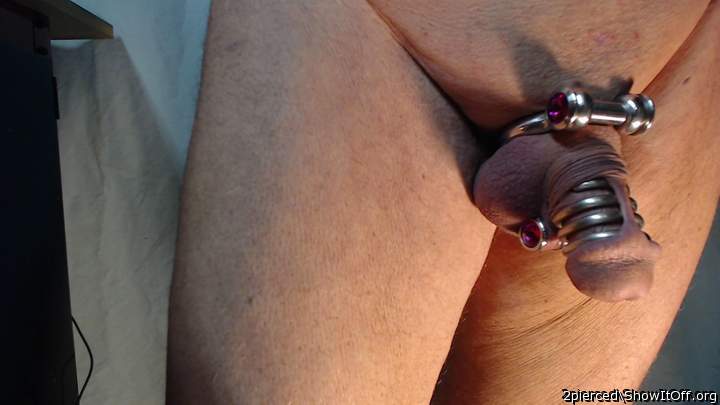 Pierced Cock Jewelry