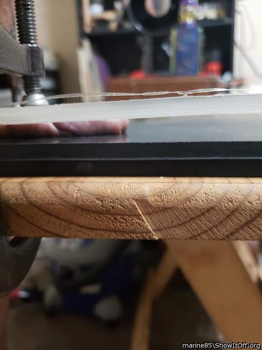 Flattened cock
