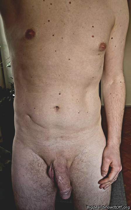 Photo of a middle leg from Bigdeal