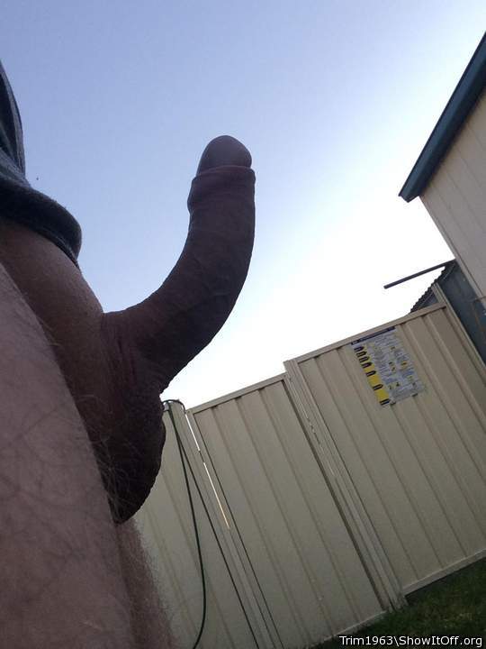 Looking into the sky
