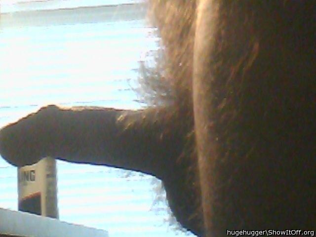 Photo of a boner from hugehugger