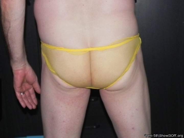 Photo of a middle leg from dom-58