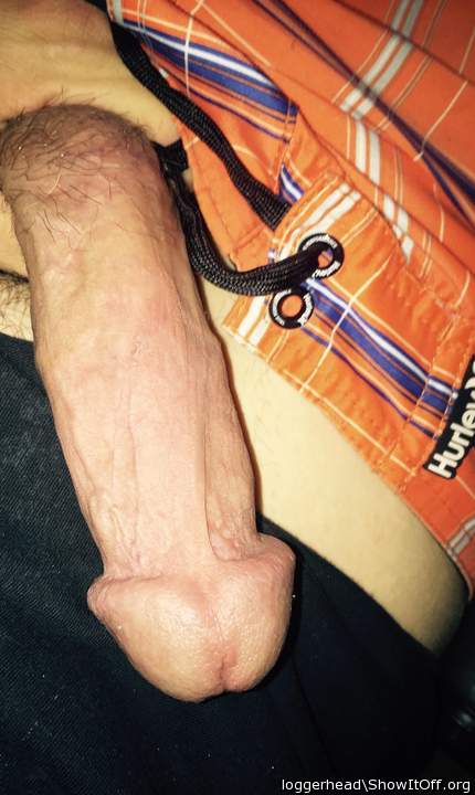 Photo of a dong from Loggerhead