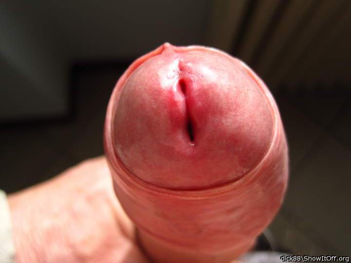 Photo of a member from Dick88