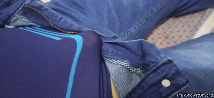 Photo of a lizard from imi