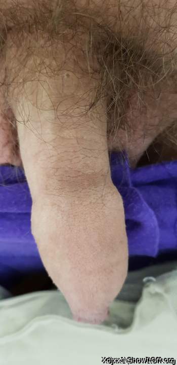 Photo of a bat from xdjxx1